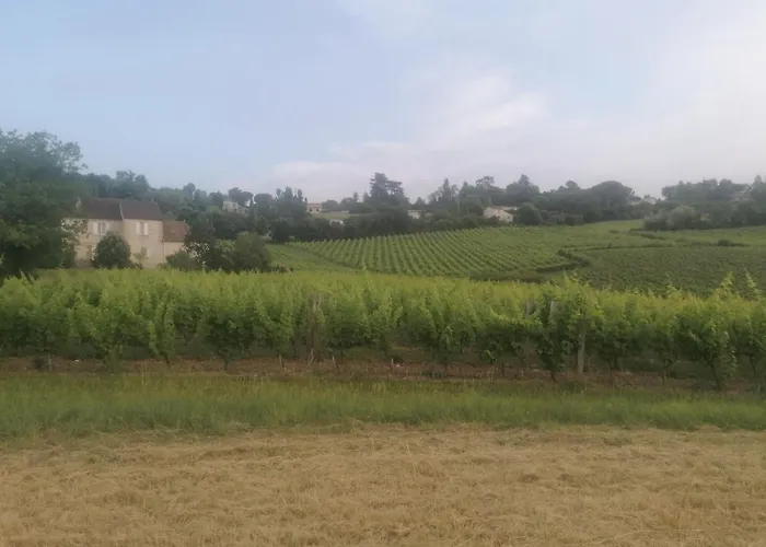 Feriehus La Belle Demeure De Margot Monbazillac