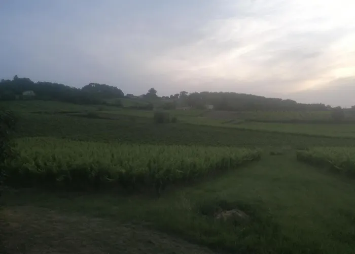 La Belle Demeure De Margot Monbazillac